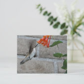 Carte Postale Orange flower Hummingbird (Debout devant)