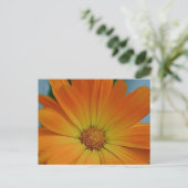 Carte Postale Orange Gerber Daisy (Debout devant)