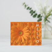 Carte Postale Orange Gerber Daisy (Debout devant)