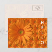 Carte Postale Orange Gerber Daisy (Devant / Derrière)