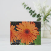 Carte Postale Orange Gerbers (Debout devant)