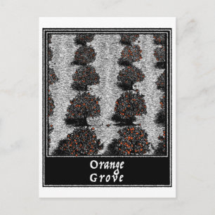 Carte Postale Orange Grove