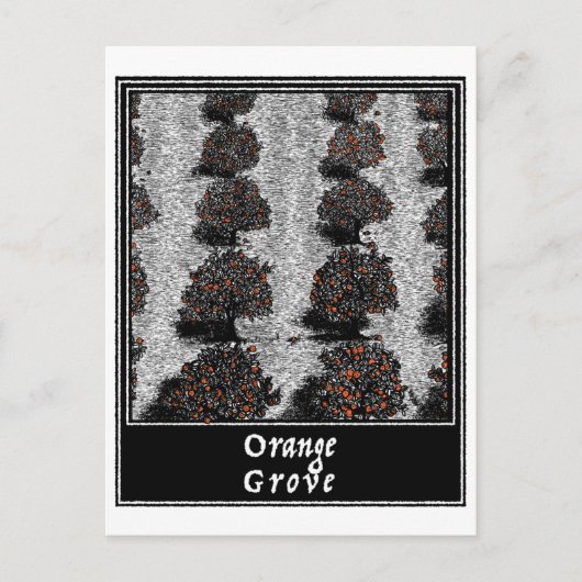 Carte Postale Orange Grove (Devant)