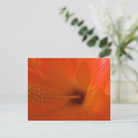 Carte Postale Orange Hibiscus (Debout devant)