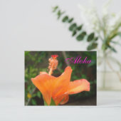 Carte postale Orange Hibiscus (Debout devant)