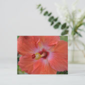 Carte postale Orange Hibiscus (Debout devant)