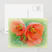 Carte Postale Orange Hibiscus Fleurs (Devant / Derrière)