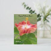 Carte postale Orange Hibiscus Flower Florida Spieg (Debout devant)