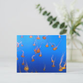 Carte postale Orange Jellyfish (Debout devant)
