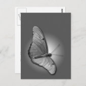 Carte Postale Orange Julia (Devant / Derrière)