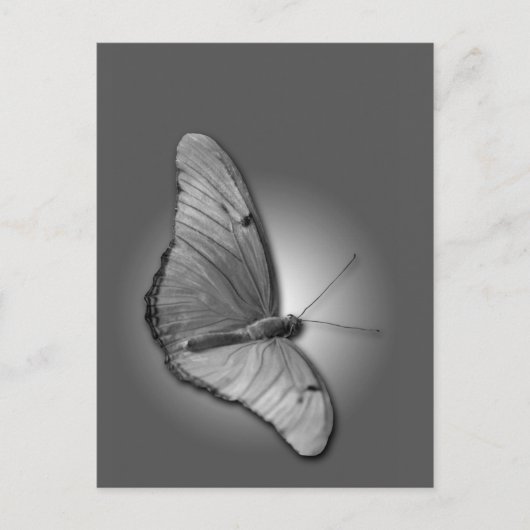 Carte Postale Orange Julia (Devant)