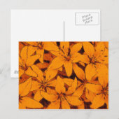 Carte postale Orange Lilies (Devant / Derrière)