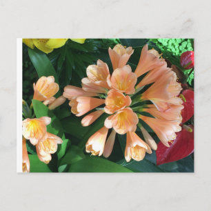 Carte Postale Orange Lilly