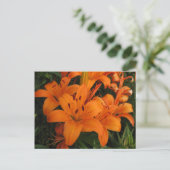 Carte postale Orange Lily (Debout devant)