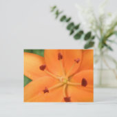 Carte postale Orange Lily Floral (Debout devant)