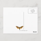 Carte postale Orange Marblé Moth (Dos)