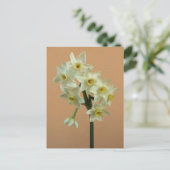 Carte postale Orange Narcissus (Debout devant)
