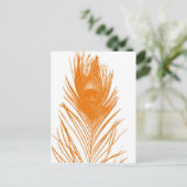 Carte postale Orange Peacock (Debout devant)