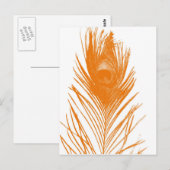 Carte postale Orange Peacock (Devant / Derrière)