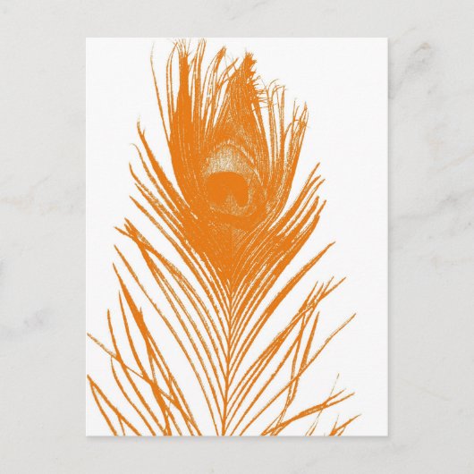 Carte postale Orange Peacock (Devant)