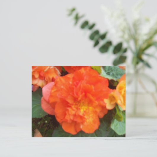 Carte Postale Orange Peony (Debout devant)