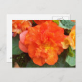 Carte Postale Orange Peony (Devant / Derrière)