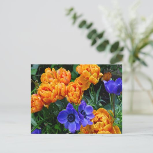 Carte Postale Orange Peony Tulips & Blue Anemones do-it-yourself (Debout devant)