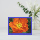 Carte postale Orange Poppy Flower (Debout devant)