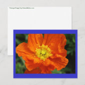 Carte postale Orange Poppy Flower (Devant / Derrière)