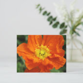 Carte postale Orange Poppy Flower (Debout devant)