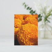 Carte postale Orange Puff (Debout devant)