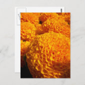 Carte postale Orange Puff (Devant / Derrière)