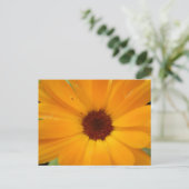 Carte postale Orange Rain Daisy (Debout devant)
