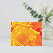 Carte Postale orange rose fluorescent (Debout devant)