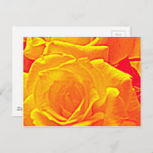 Carte Postale orange rose fluorescent (Devant / Derrière)