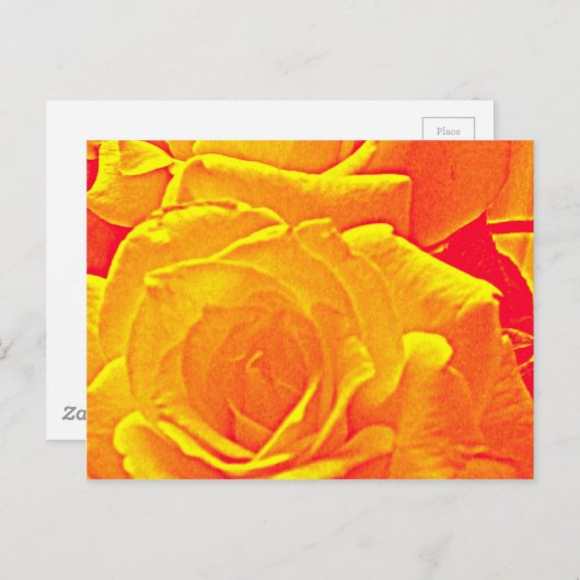 Carte Postale orange rose fluorescent (Devant / Derrière)