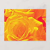 Carte Postale orange rose fluorescent (Devant)