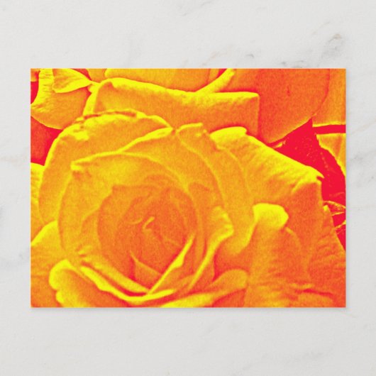 Carte Postale orange rose fluorescent (Devant)