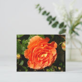 Carte Postale Orange Rose I Plutôt Floral (Debout devant)
