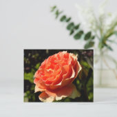 Carte Postale Orange Rose II Belle florale (Debout devant)