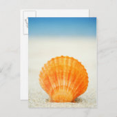 Carte Postale Orange Scallop Shell Standing Upright In Sand (Devant / Derrière)