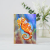Carte Postale Orange Seahorse délice (Debout devant)