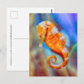 Carte Postale Orange Seahorse délice (Devant / Derrière)