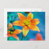 Carte Postale Orange Star Flower (Devant / Derrière)