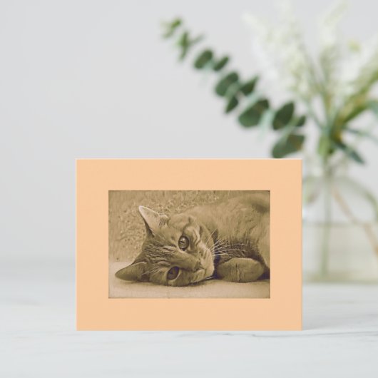 Carte postale orange tabby Cat (Debout devant)