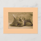 Carte postale orange tabby Cat (Devant)