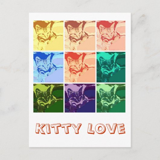 Carte Postale Orange Tabby Kitten (Devant)