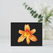 Carte postale Orange Tiger Lily (Debout devant)