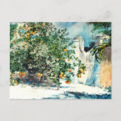 Carte Postale Orange Tree Gate Nassau Winslow Homer (Devant)