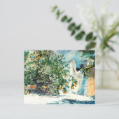 Carte Postale Orange Tree Gate Nassau Winslow Homer (Debout devant)